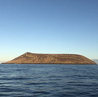 Photo of Lehua Island