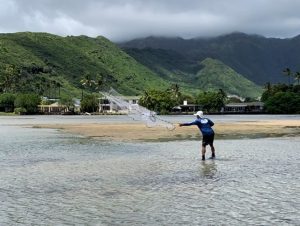 A person stands in shallow water, casting a fishing net with green mountains and cloudy skies in the background. Houses and palm trees line the shore.
