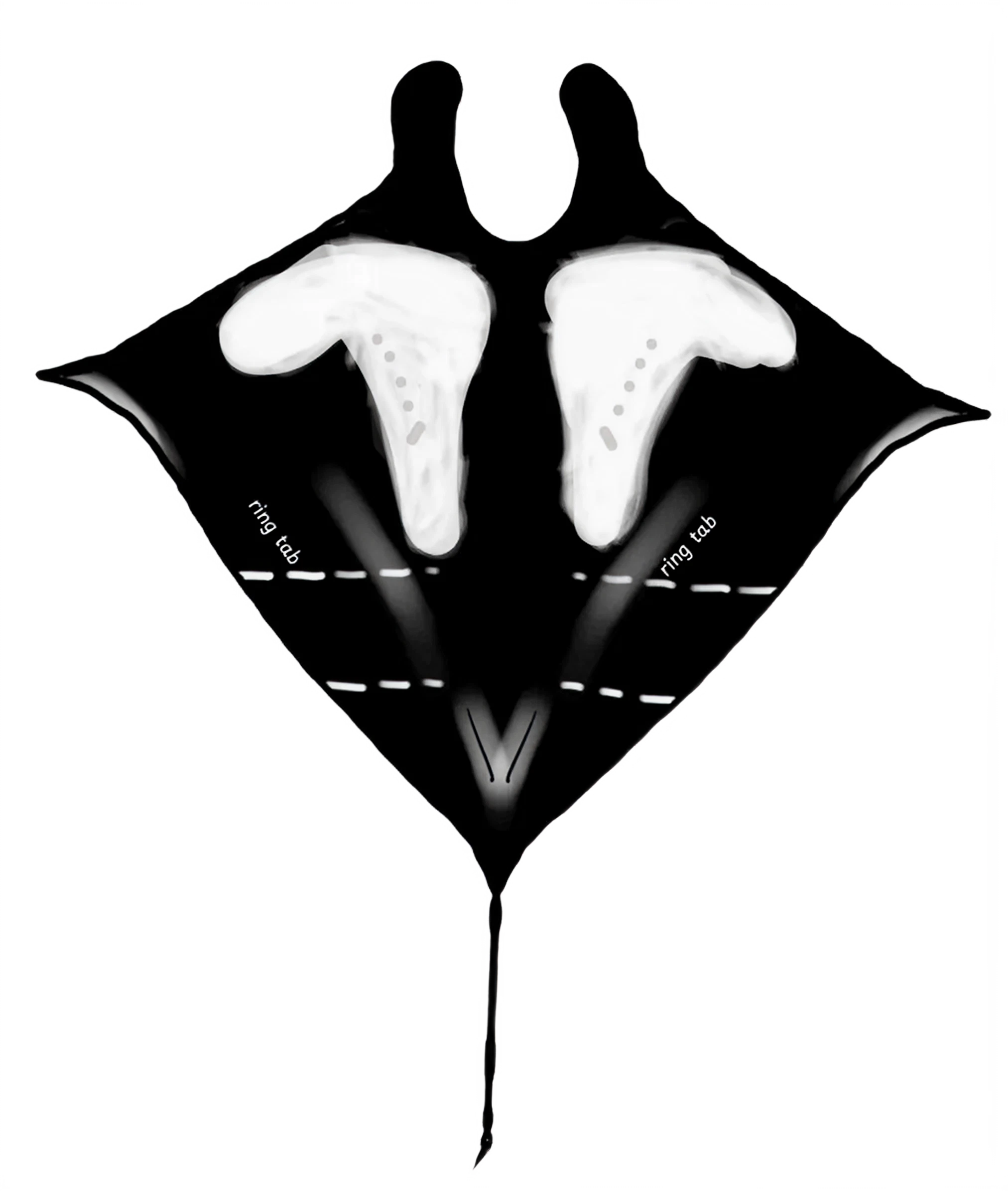 manta ray