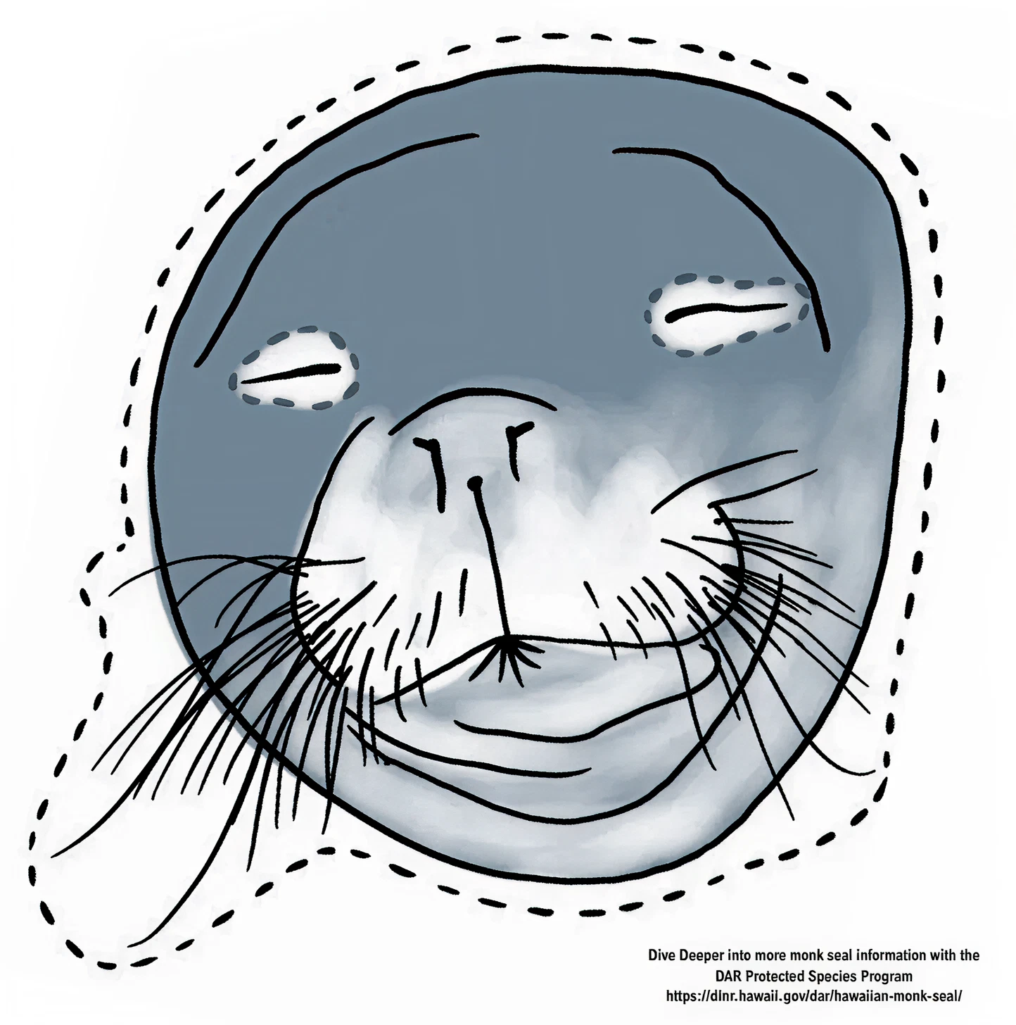 monk seal mask