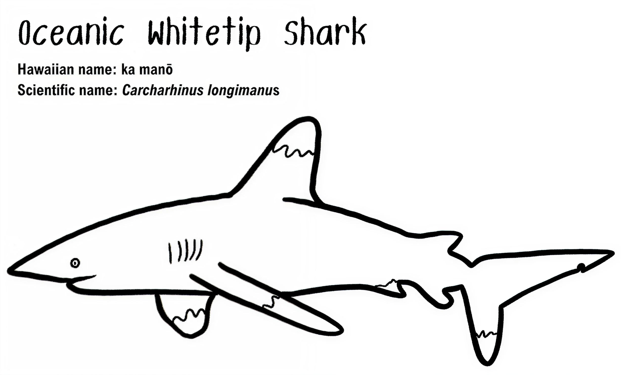 protected species postcards