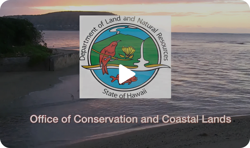 OCCL video