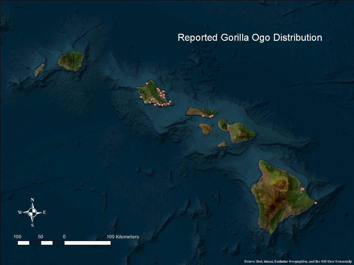 Map - Gorilla Ogo distribution