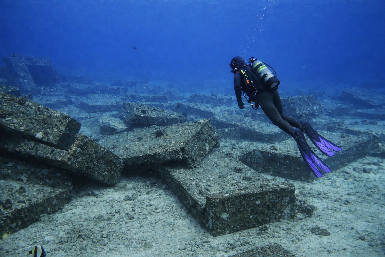 Artificial Reef - Diver