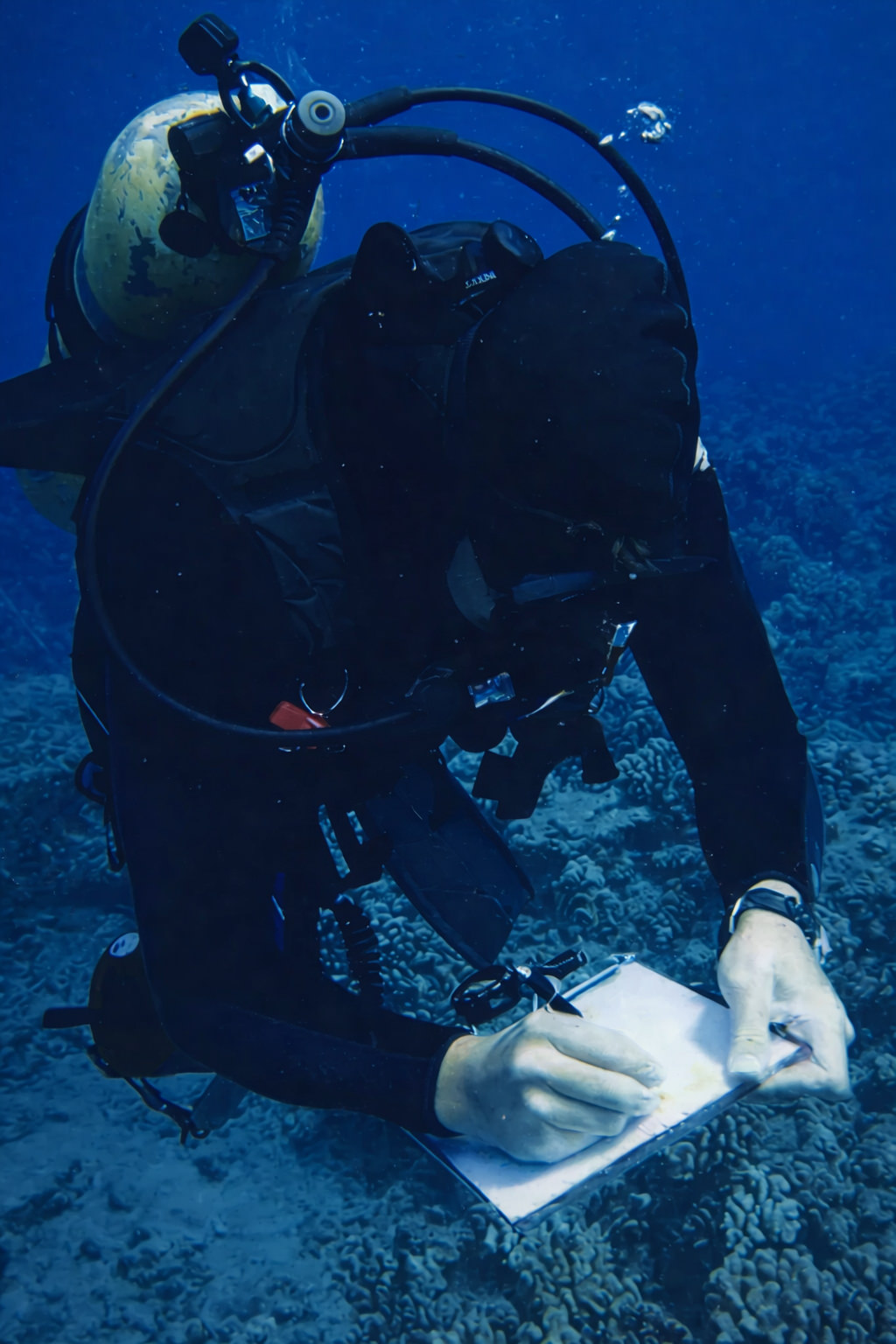 Diver Surveyor