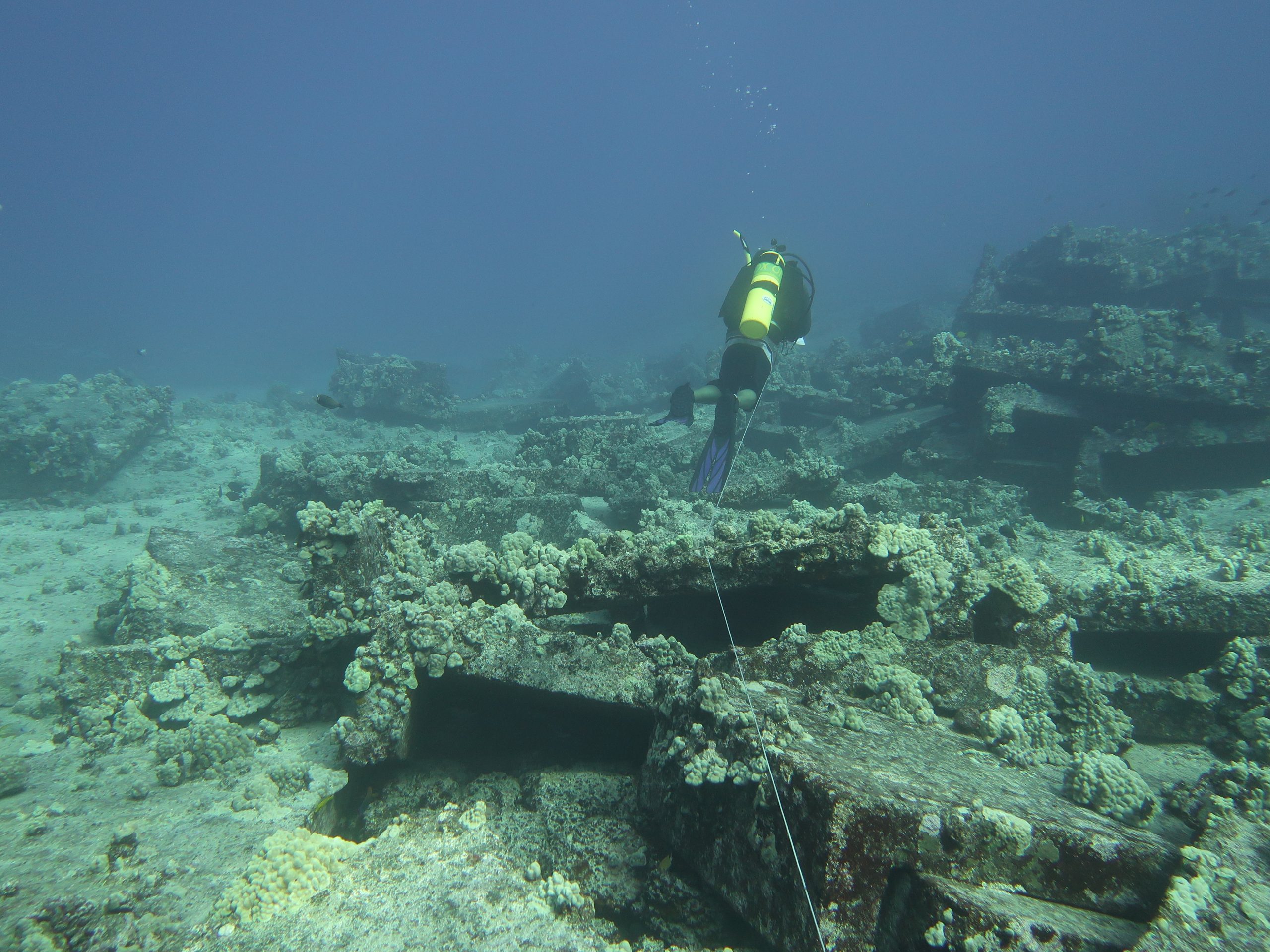 Diving - 043024_WAR_255_N