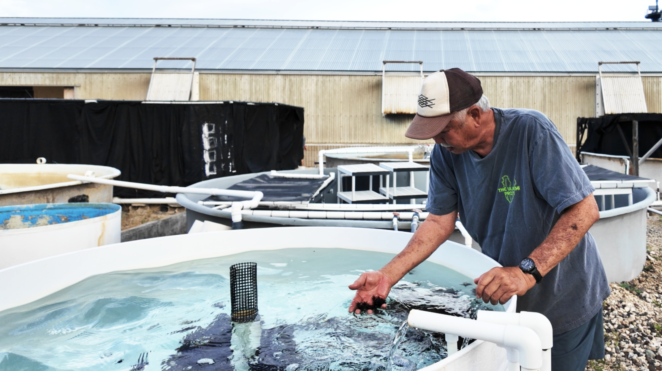 Limu AFRC Aquaculture 2