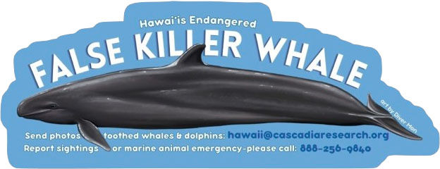 false killer whale