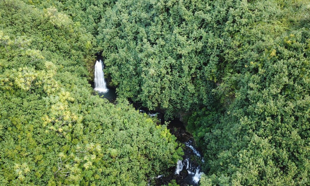 Waiohue Waterfall