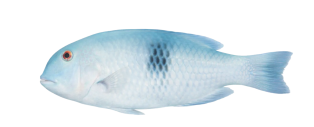 4187e825f80efbd34aa3e991f6d51c7e77f506d9