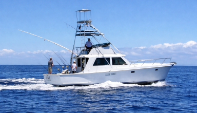 Commercial Sport Fish Boat