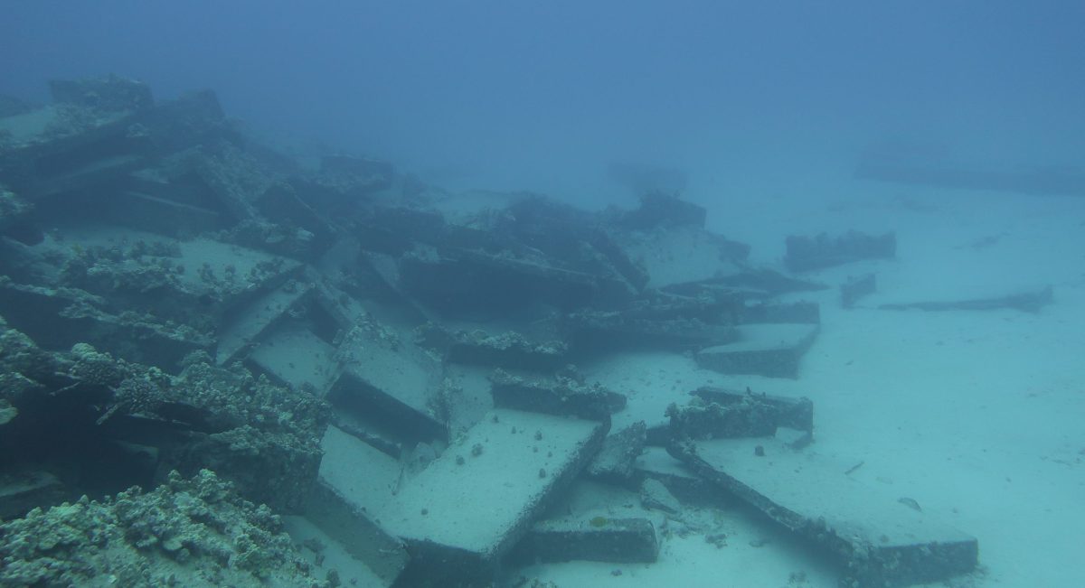 Diving - 043024_WAR_275_E