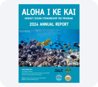 Other Reports PDF file