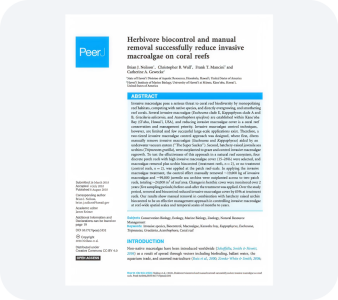 Other Reports PDF file