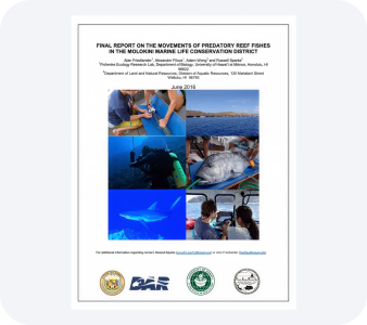 Other Reports PDF file