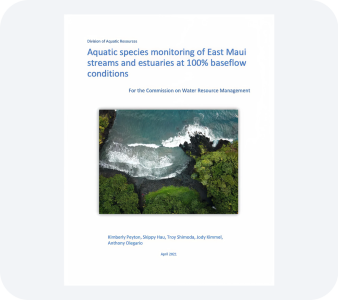 Other Reports PDF file