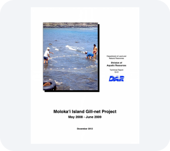 Technical Report PDF file