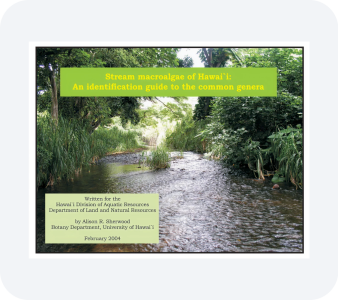 Technical Report PDF file