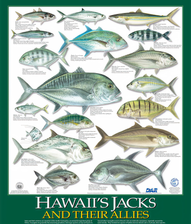 hawaii's jacks