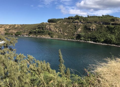 Honolua Bay