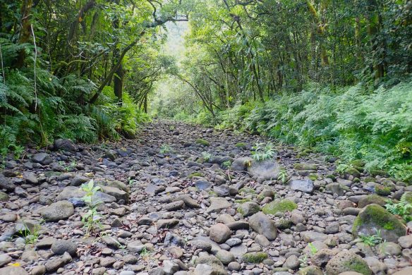 Honomanu Dry bed