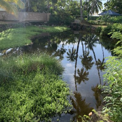 Kalauhaiahi_6739