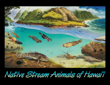 native_stream1